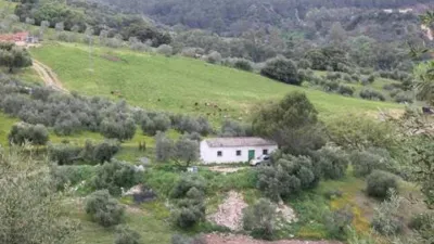 Chalet in Algodonales photo 3
