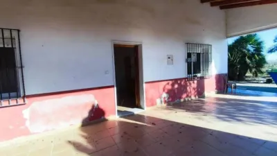 Chalet in Elx - Elche photo 3