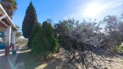 Chalet in Elx - Elche photo 4