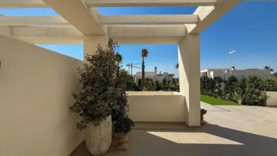 Chalet in Algorfa photo 41