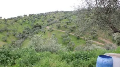 Chalet in Algodonales photo 10