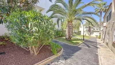 House in Gran Alacant photo 44