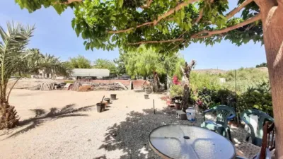 Rustic house in Torrellano-Valverde-Business Park photo 20