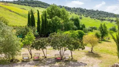 Chalet en Grazalema photo 83