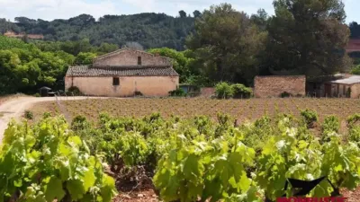 Rustic house in Vila-rodona photo 51