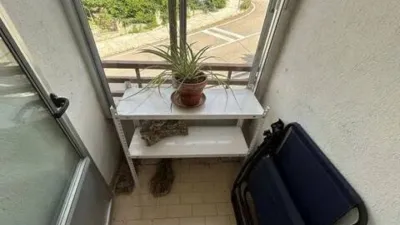 Apartment in Hoyos photo 10