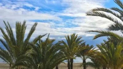Piso en Centre-Port-Platja Llevant photo 11