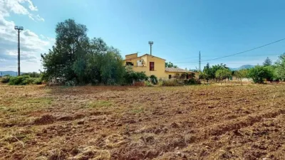 Rustic house in Son Sardina photo 35