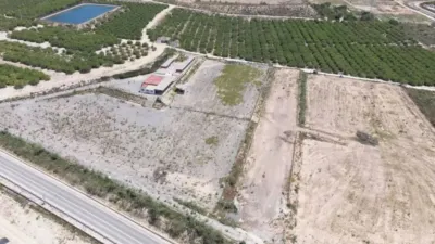 Pis – Almoradí - Vista 3