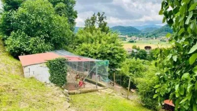 Rustic house on Ds Mas Cadevalls-Pla de Dalt street photo 56