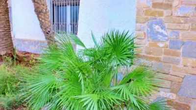 Casa – Elx - Elche - Vista 2