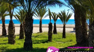 Chalet in Varadero-Santa Pola East photo 50