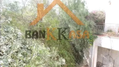 Chalet in Berja photo 35