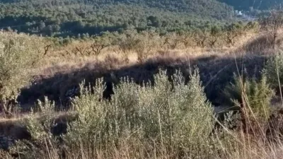Terreno en venta en Castalla - Vista 3
