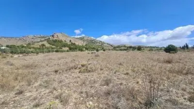 Terreno en venta en Sax - Vista 4