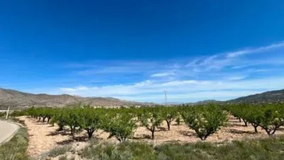 Terreno en venta en Hondón de los Frailes - Vista 5