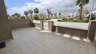 Pis – Pilar de la Horadada, Torre de la Horadada - Vista 4