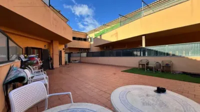 Apartment in Alcúdia photo 35