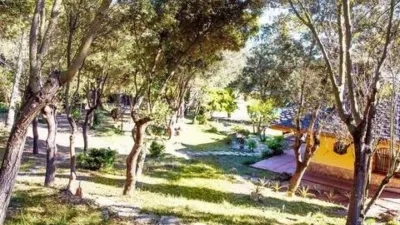 Chalet in Begues photo 42