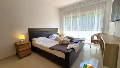 Chalet on Avinguda dels Arbres photo 24