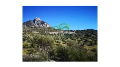 Rustic house in El Gastor photo 3