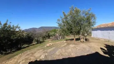 Chalet in El Gastor photo 46