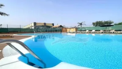 Apartment in La Oliva photo 9