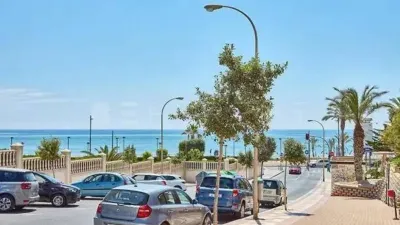 Apartment in Carrer Hisenda de l'Administrador photo 31