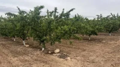 Terreno en venta en Calle Ontur, 1 - Vista 2