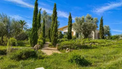 Rustic house in Santa Margalida photo 7