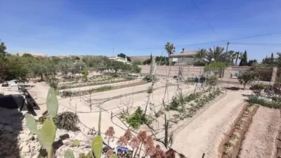 Rustic house in Torrellano-Valverde-Business Park photo 32