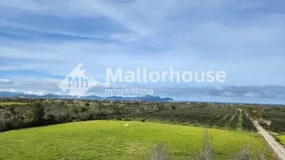 Rustic property in Santa Margalida photo 16