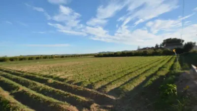 Terreno en venta en Orihuela - Vista 5