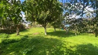 Chalet in Barrio de Arriba photo 23