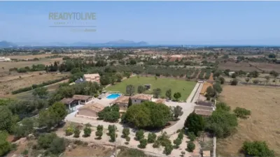 Chalet in Santa Margalida photo 60