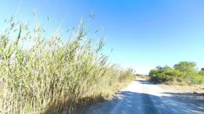 Terreno en venta en Carretera a Elche - Vista 3