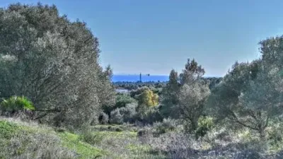Terreno en venta en Barrio San Roque - Vista 5