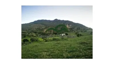 Rustic house in El Gastor photo 2