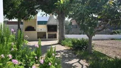 Apartment in Nord Zone photo 27