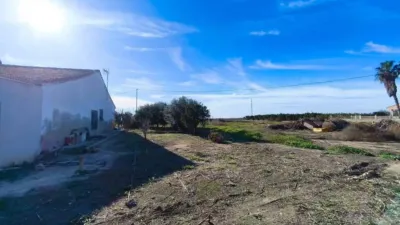 Chalet in Elx - Elche photo 28