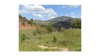 Chalet in Algodonales photo 8