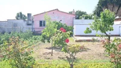 Apartment in Nord Zone photo 7