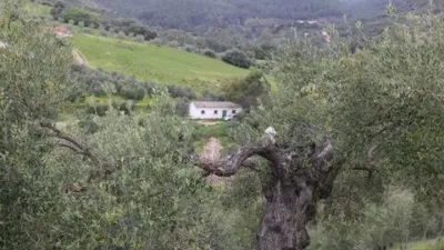 Chalet in Algodonales photo 14