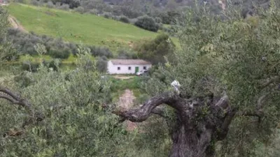 Chalet in Algodonales photo 13
