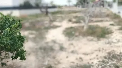 Terreno en venta en Torrellano-Valverde-Parc Empresarial - Vista 3