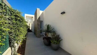 Chalet in Algorfa photo 44