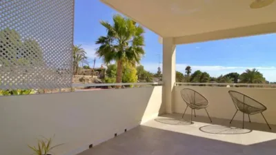 Casa – Elx - Elche - Vista 5