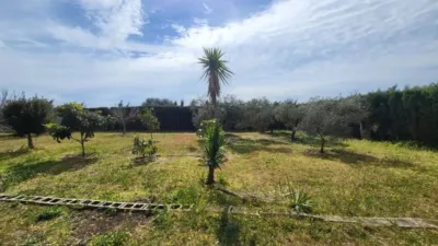 Rustic house in Medina Sidonia photo 5