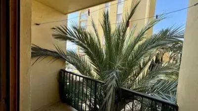 Apartment in Puerto photo 20