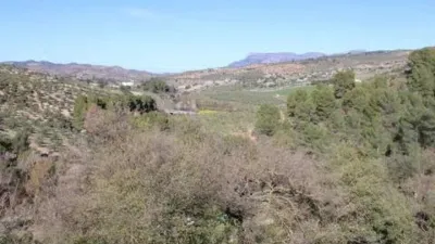 Chalet in El Burgo photo 20